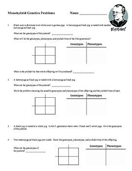 Punnett Square Worksheet With Answers