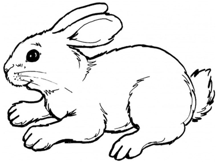 Bunny Coloring Pages To Print