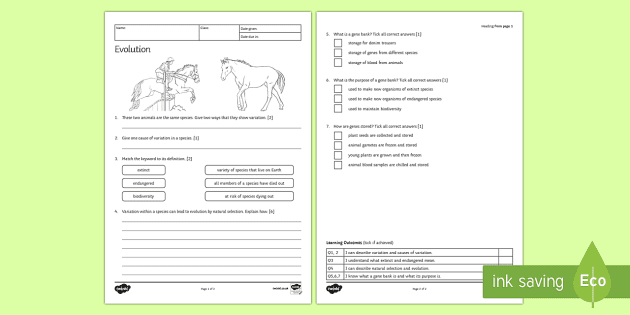 Evolution Worksheet Ks2