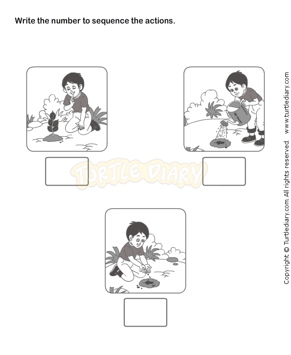 Sequencing Worksheets Kindergarten