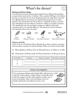 Ecosystem Worksheets 5th Grade