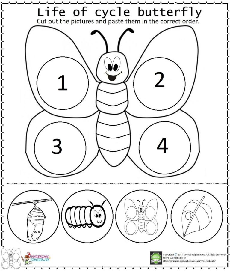 Butterfly Life Cycle Worksheet Free Download