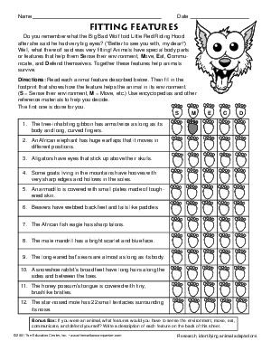 Animal Adaptations Worksheets