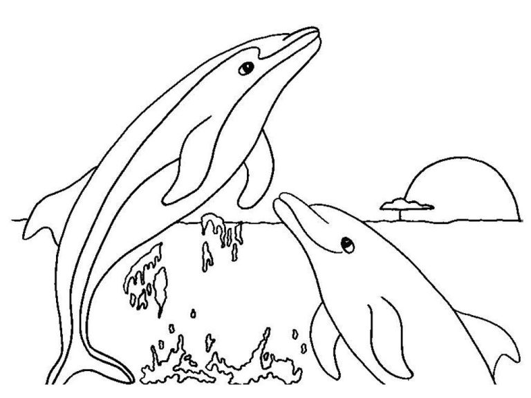 Dolphin Coloring Pages Of Animals