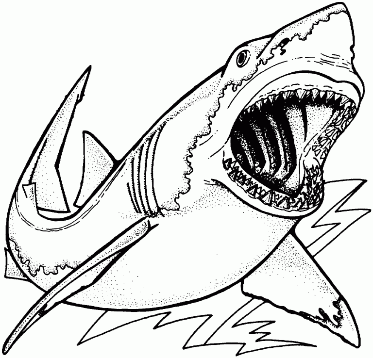 Shark Coloring Pages Realistic