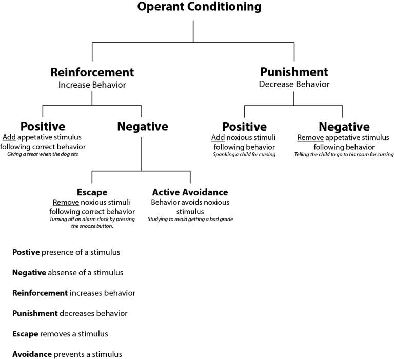 Key Classical Conditioning Worksheet