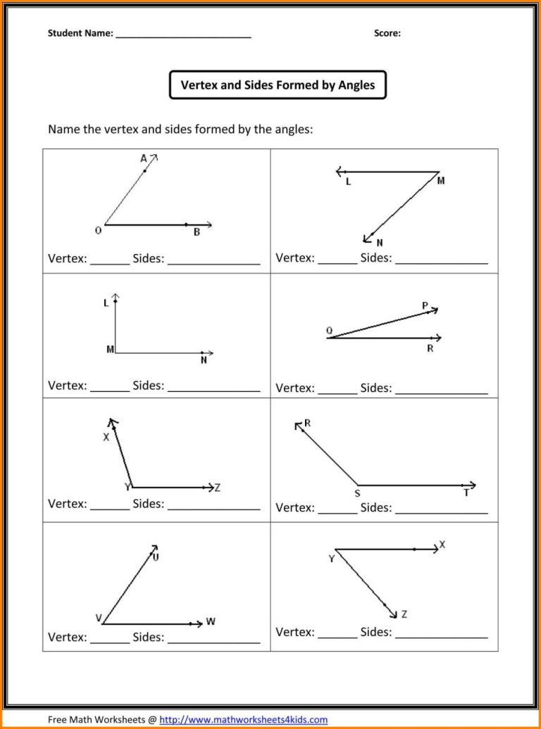 Measuring Angles With A Protractor Worksheet Kuta