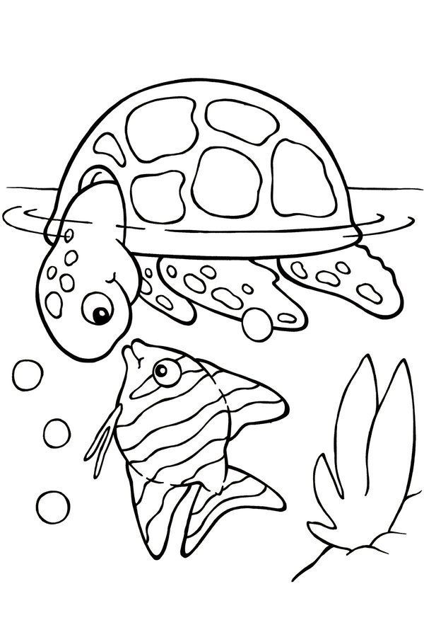 Turtle Coloring Pages To Print