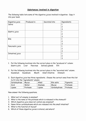 Substitution Worksheet Tes