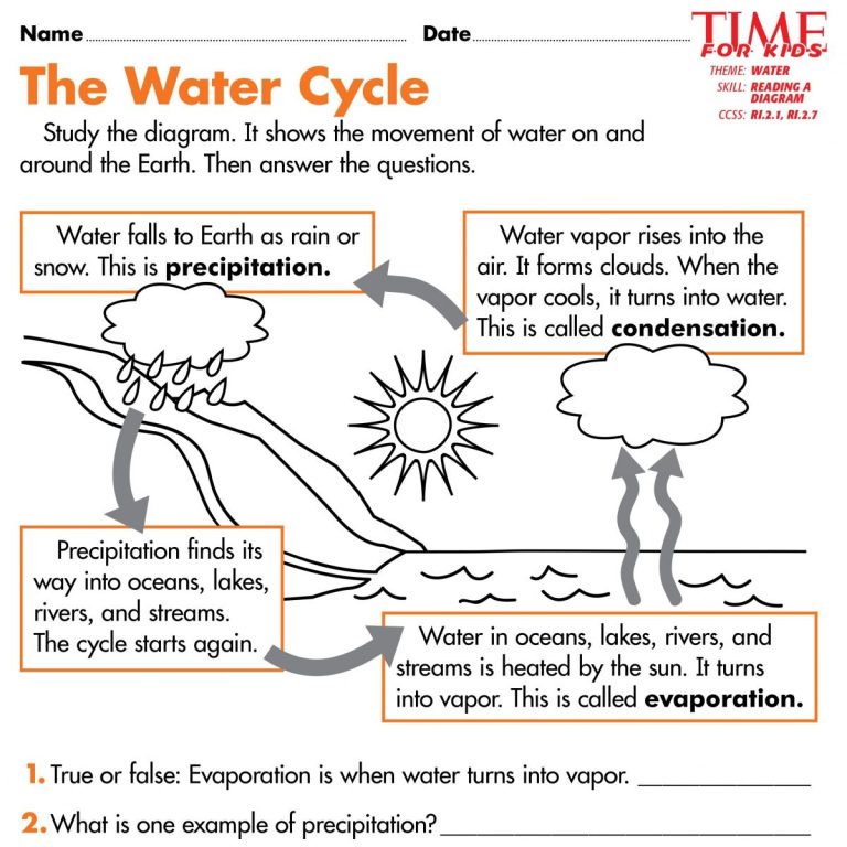 Printable Water Cycle Worksheet Pdf