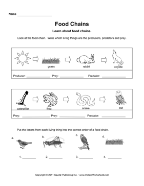 Food Chain Worksheet 4th Grade