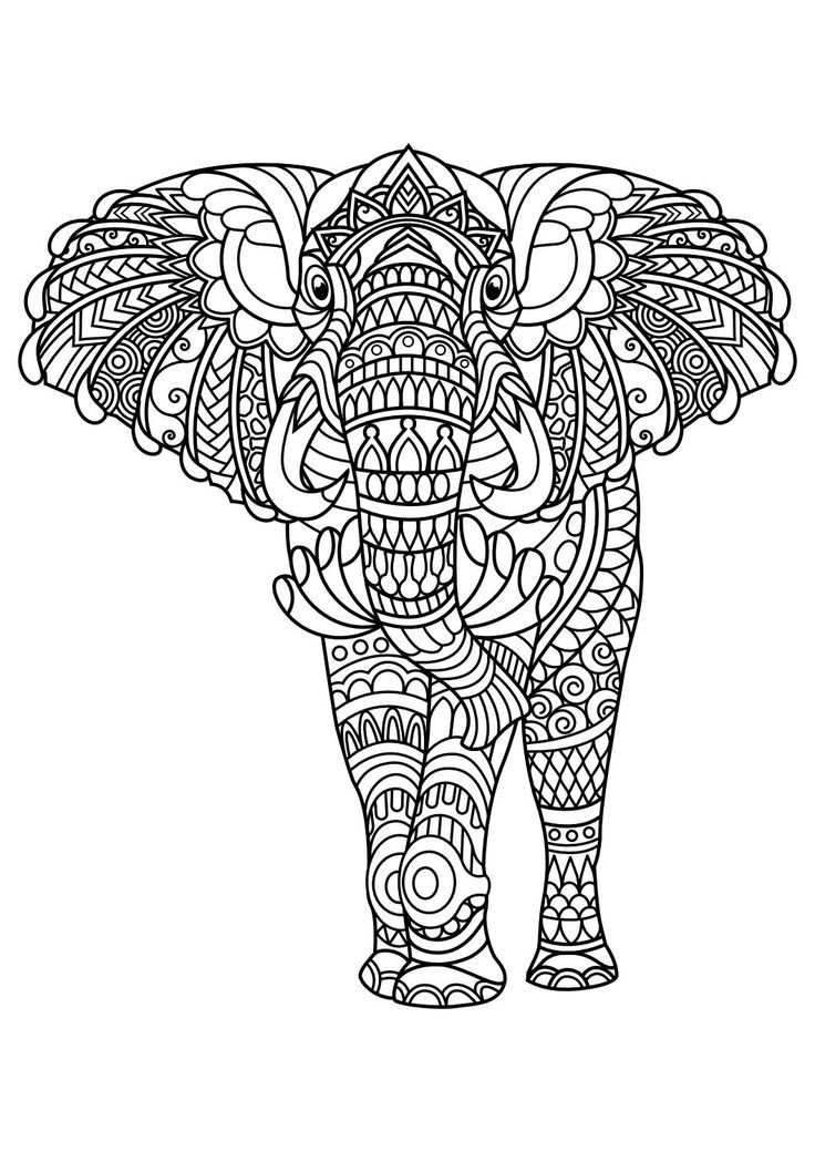 Animal Coloring Pages Pdf