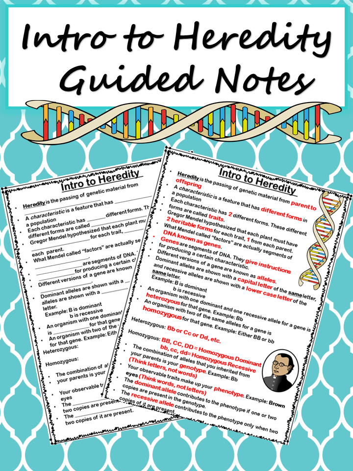 Diffusion And Osmosis Worksheet Quizlet