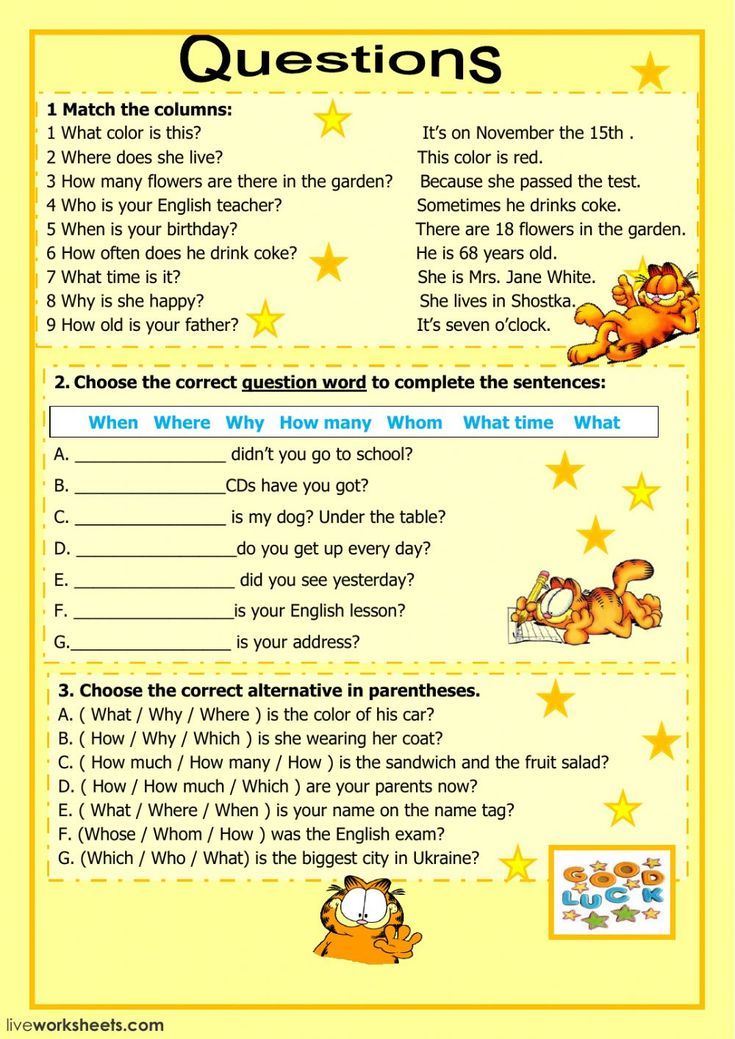 Question Words Worksheet Pdf