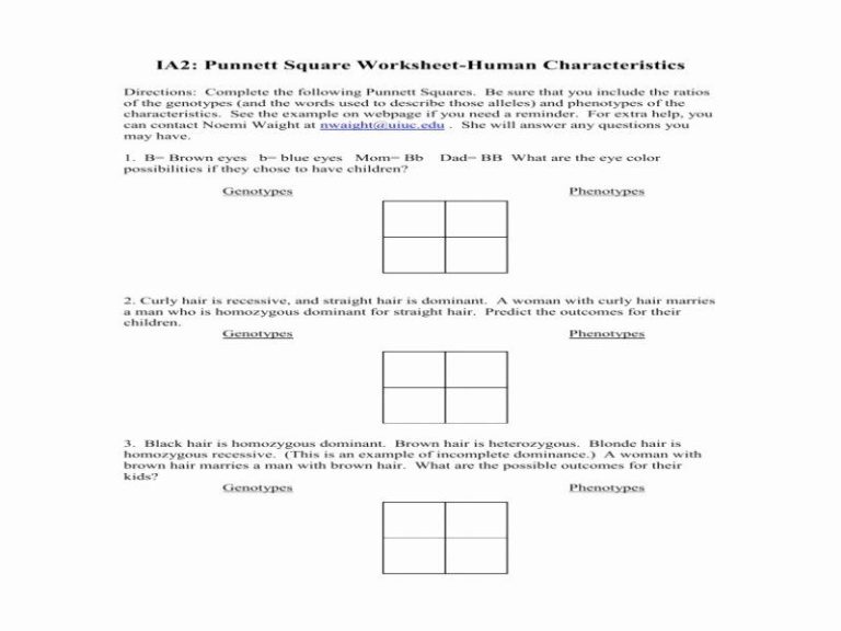 Incomplete Dominance Worksheet Answer Key