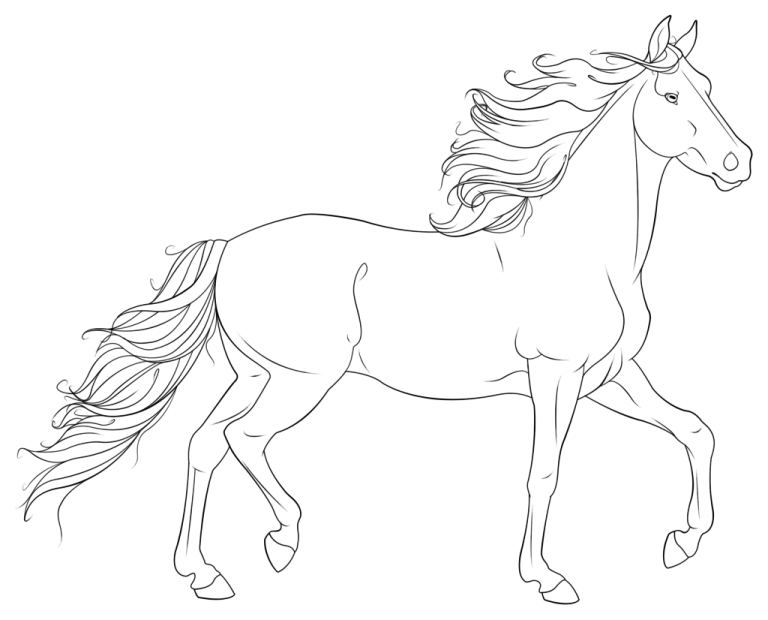 Realistic Horse Coloring Pages