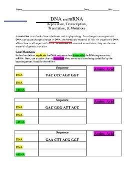 Transcription And Translation Practice Worksheet