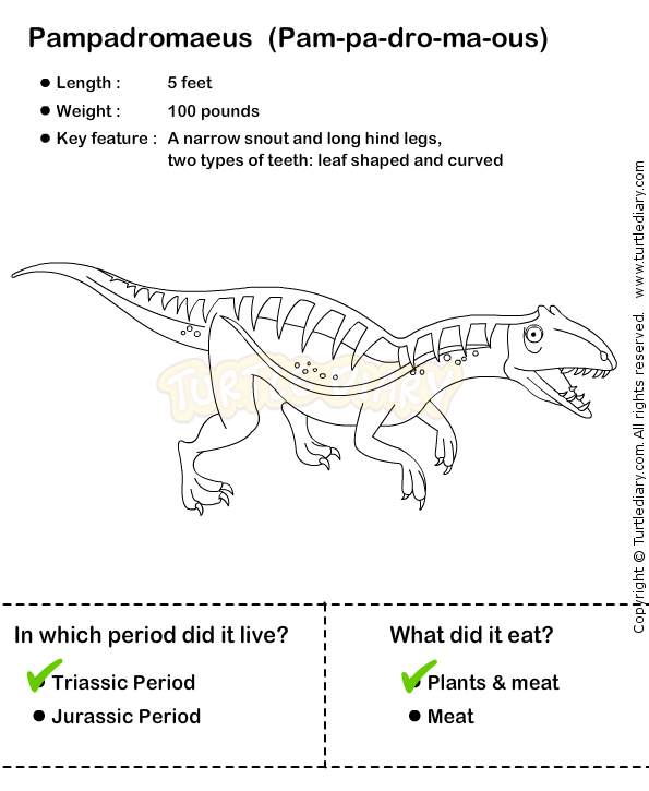 Dinosaur Worksheets 1st Grade