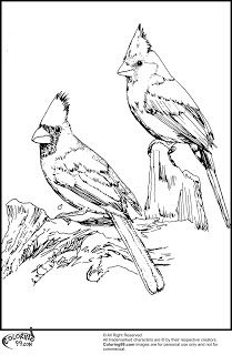 Cardinal Coloring Page