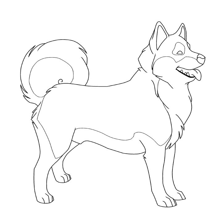 Husky Coloring Pages