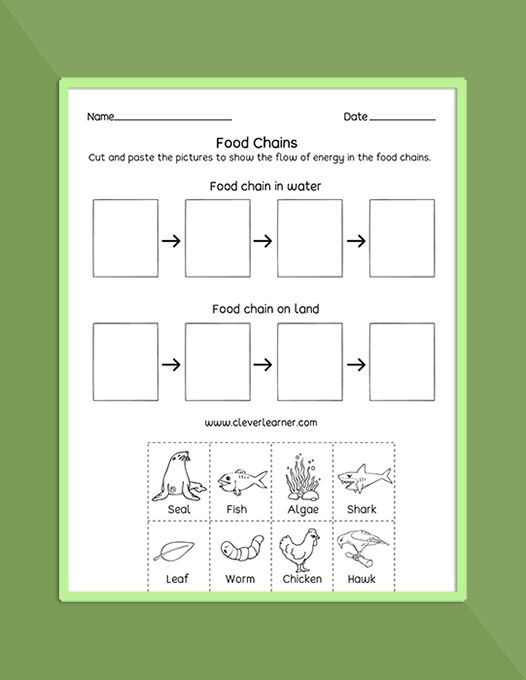 Ecosystem Worksheets 1st Grade