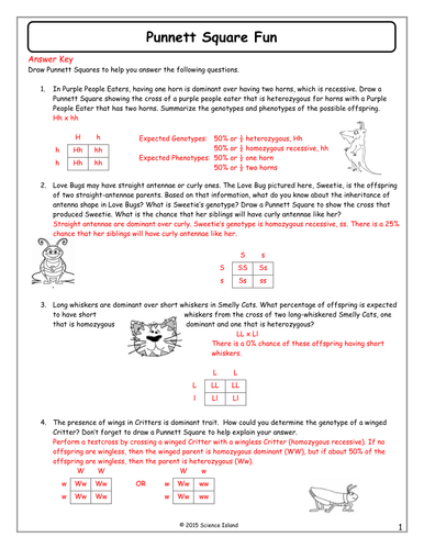 Genetics Practice Problems – Simple Worksheet