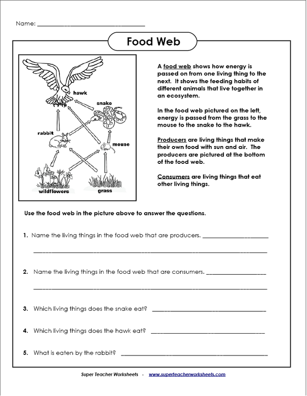 5th Grade Science Worksheets Pdf