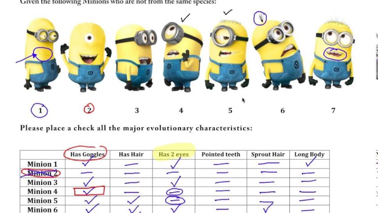 Cladogram Worksheet Pdf