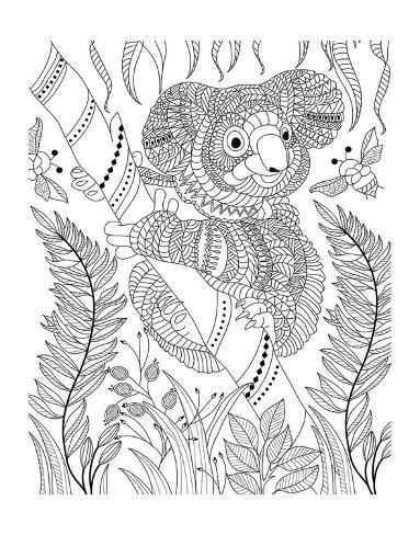 Koala Coloring Pages