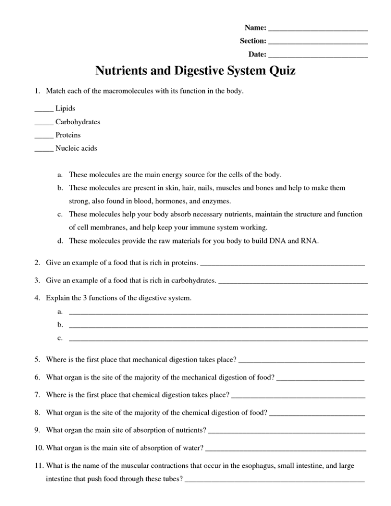 Nutrition In Plants For Class 7 Worksheet With Answers Mcq