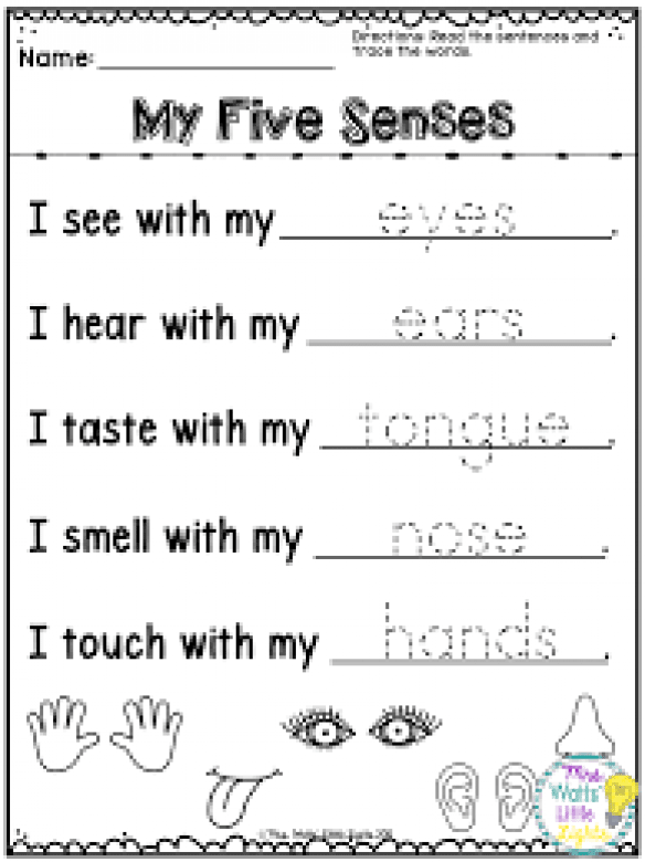 5 Senses Worksheets Pre K