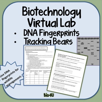 Dna Fingerprinting Worksheet Answer Key