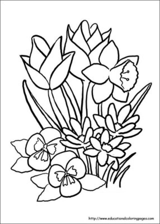 Free Spring Coloring Pages