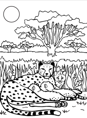 Cheetah Coloring Pages