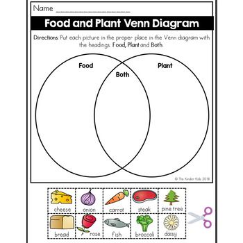 Diagram Of Workbook And Worksheet