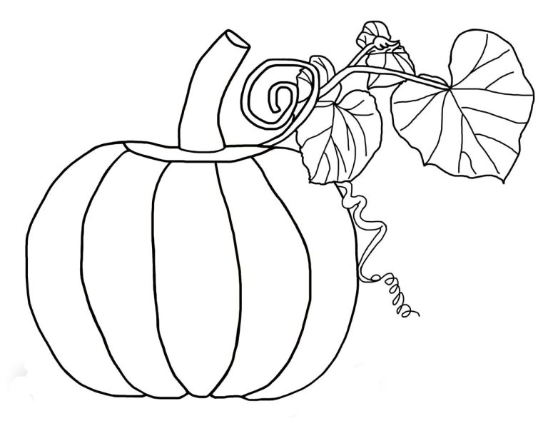 Pumpkin Coloring