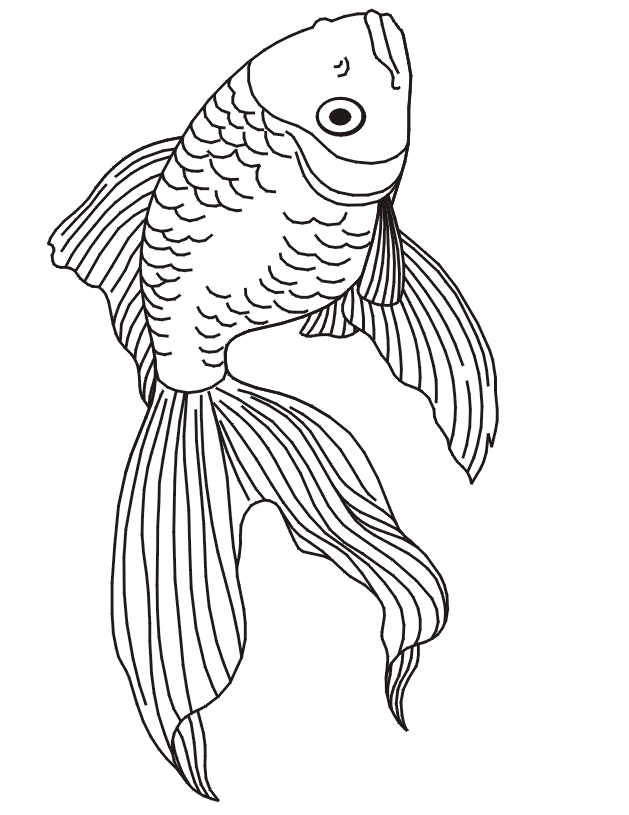 Fish Coloring Pages Realistic