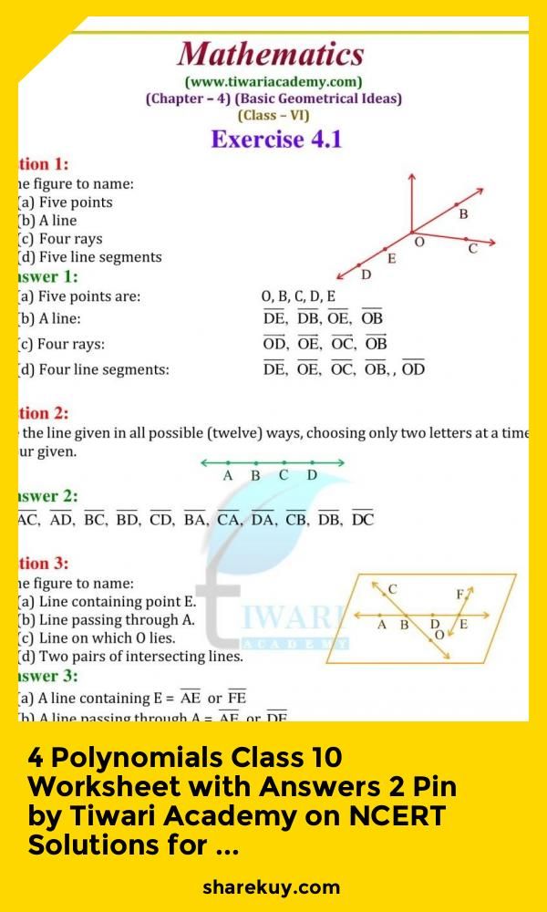 Polynomials Worksheet Class 10