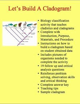 Cladogram Worksheet