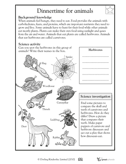 4th Grade Science Worksheets Free