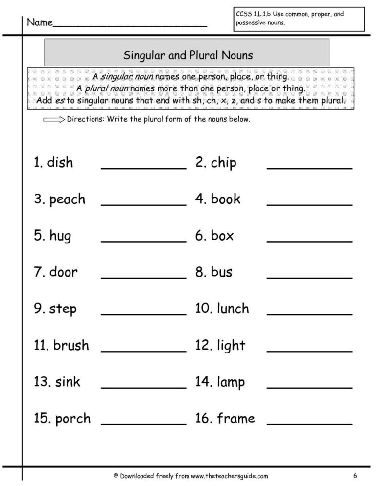 Plural Nouns Worksheet First Grade