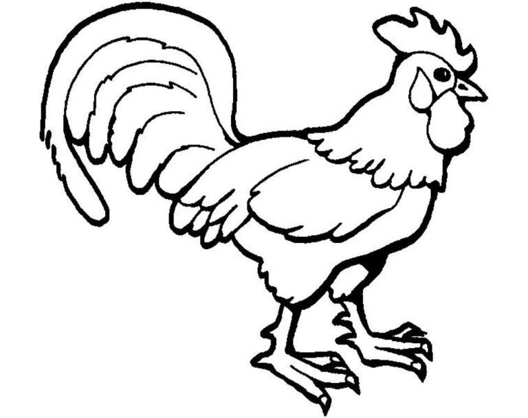 Rooster Coloring Page