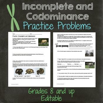 Codominance And Incomplete Dominance Worksheet