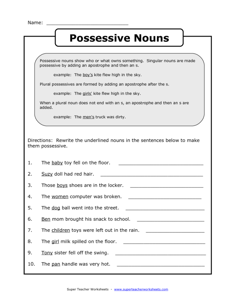 Possessive Nouns Worksheets Free Printable