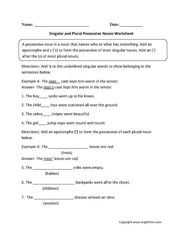 Singular Plural Worksheet For Class 6