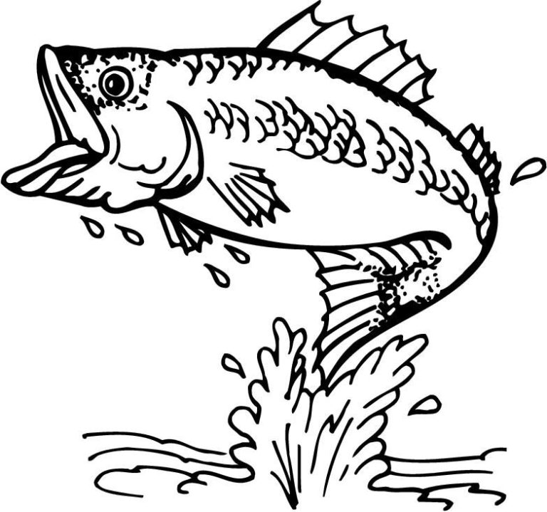 Fish Coloring Pages Bass