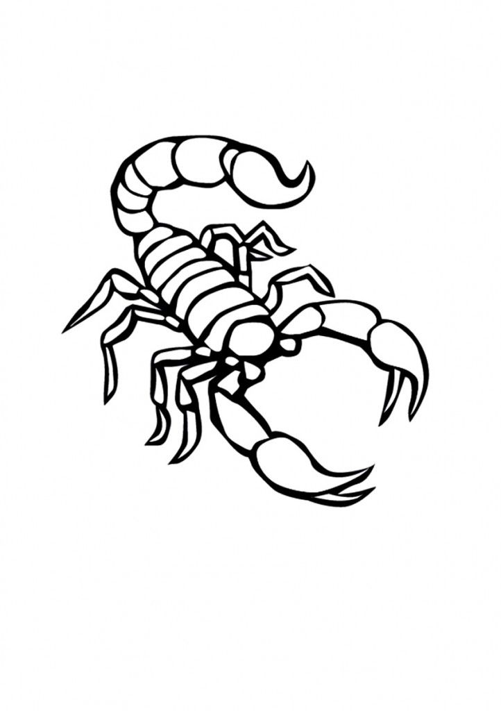 Scorpion Coloring Page