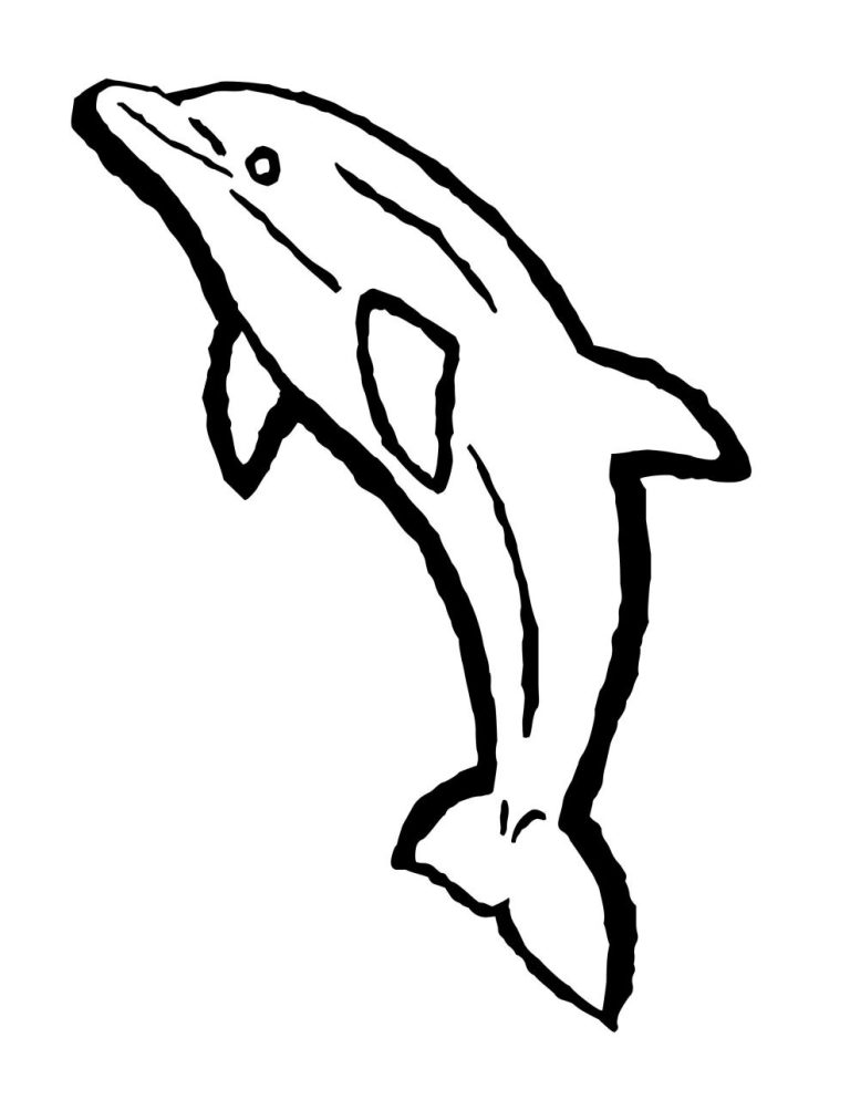 Dolphin Coloring