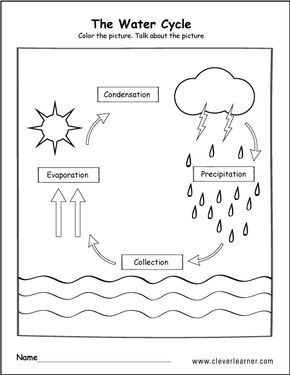 Water Cycle Worksheet For Kids