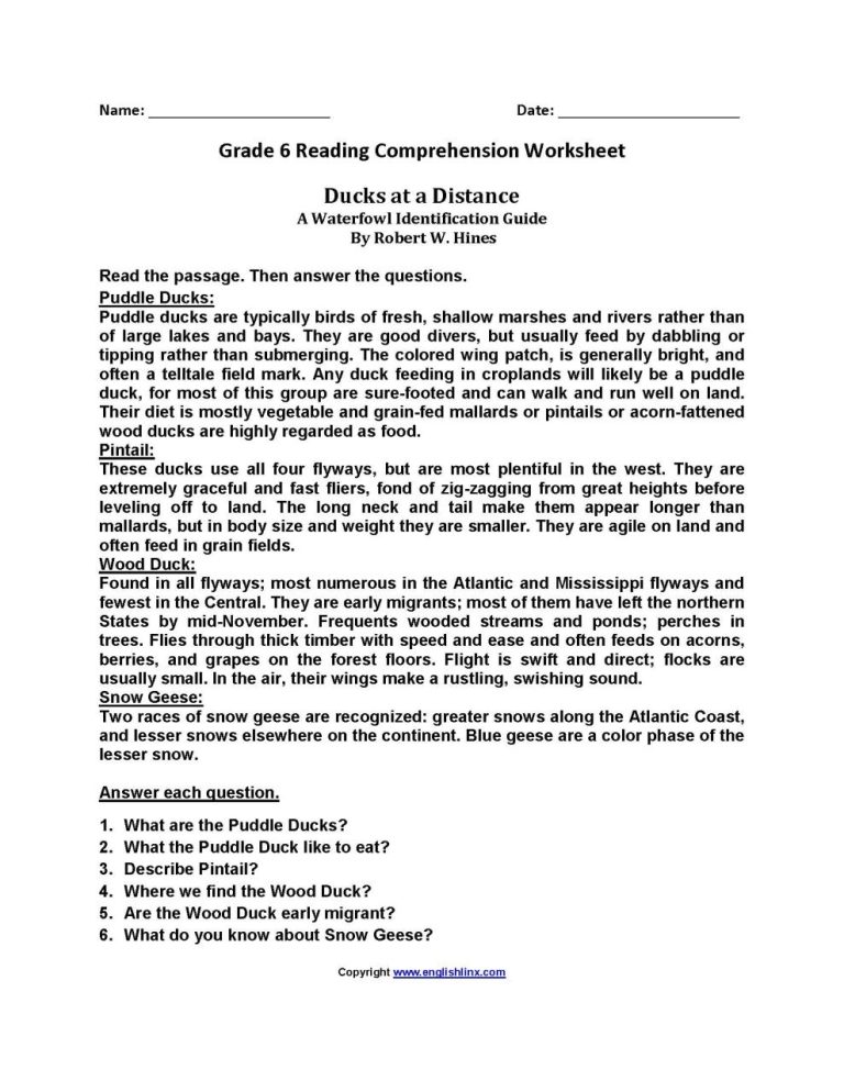 Year 6 Comprehension Worksheets Free